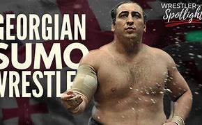 Image result for Tochinoshin Physique