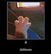 Image result for Doubloons Cat Meme