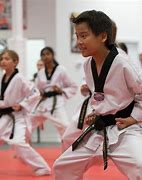 Image result for East Tennessee School of Taekwondo Karate