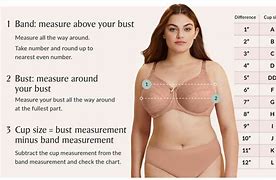 Image result for Bust Size in Inches