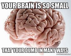 Image result for Brain Dump Meme
