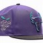 Image result for Purple Chicago Bulls Hat