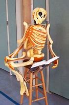 Image result for Life-Size Skeleton Cut Out Printable