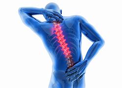 Image result for Thoracic Joint Pain