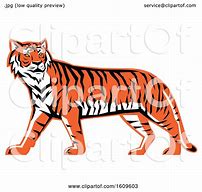 Image result for Bengal Tiger Mascot