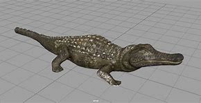 Image result for Caiman 3D Model