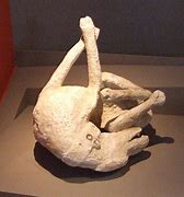 Image result for Pompeii Baby