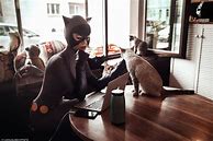 Image result for Catwoman and Cat