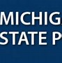 Image result for Ichat Background Check Michigan