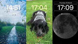 Image result for Aesthetic iPhone HomeScreen