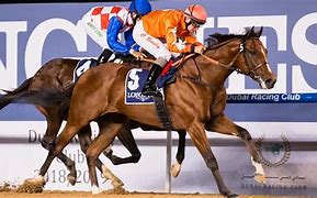 Image result for Meydan Races