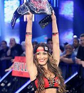 Image result for Nikki Bella WWE Attire