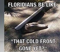 Image result for Florida Cold Weather Memes