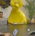 Image result for Big Bird Meeting Meme