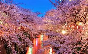 Image result for Japanese Style 8K