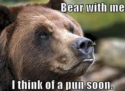 Image result for Bear Not Cute Meme