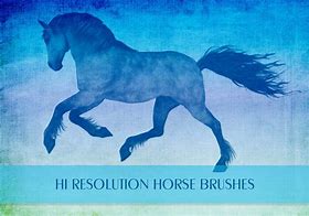 Image result for Photoshop Horse Hair Brushes