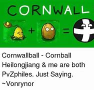 Image result for Corn Ball Meme