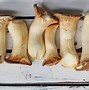 Image result for Vegan Scallops Mushroom