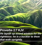 Image result for Proverbs 2:7