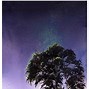 Image result for Night Sky Landscape Painting