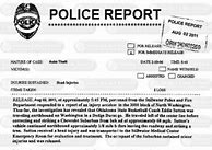 Image result for Police Report Example