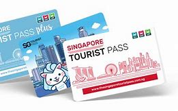 Image result for Singapore Special Pass