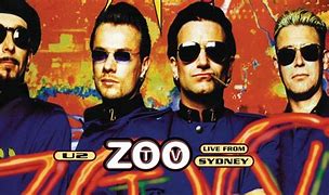 Image result for co_to_znaczy_zoo_tv:_live_from_sydney