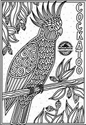 Image result for Aboriginal Colouring Pages