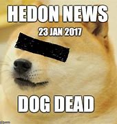 Image result for Dead Doge