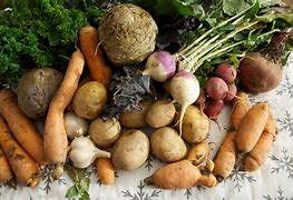 Image result for Local Farming