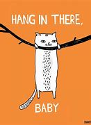 Image result for Hang in There Kitty Meme