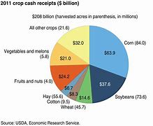 Image result for Farm Crops List