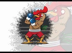 Image result for Boxing Rooster with Middle Finger