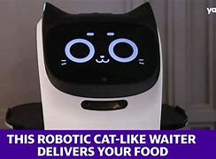Image result for Cat Robot Waiter