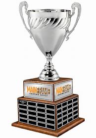 Image result for Large Perpetual Trophy Cup