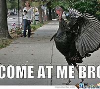 Image result for Funny Thanksgiving Leftover Memes