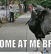 Image result for Funny Turkey Meme