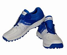 Image result for Sega Cricket Shoes