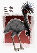 Image result for Emo Emu