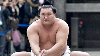 Image result for White Sumo Wrestler