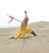 Image result for Spear Martial Arts