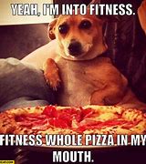 Image result for Cats with Pizza Memes