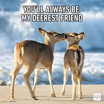 Image result for Funny Cute Best Friends