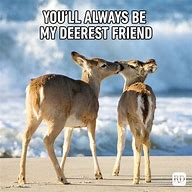 Image result for Wholesome Friendship Memes