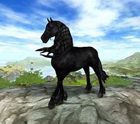 Image result for Friesian Horse SSO