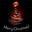 Image result for Christmas Wallpaper for Samsung Phone