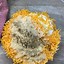 Image result for Cheesy Diced Potato Casserole