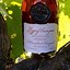 Image result for Gypsy Canyon Pinot Noir Lot 8