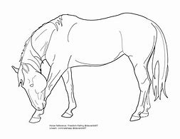 Image result for Beautiful Drawings of Horses